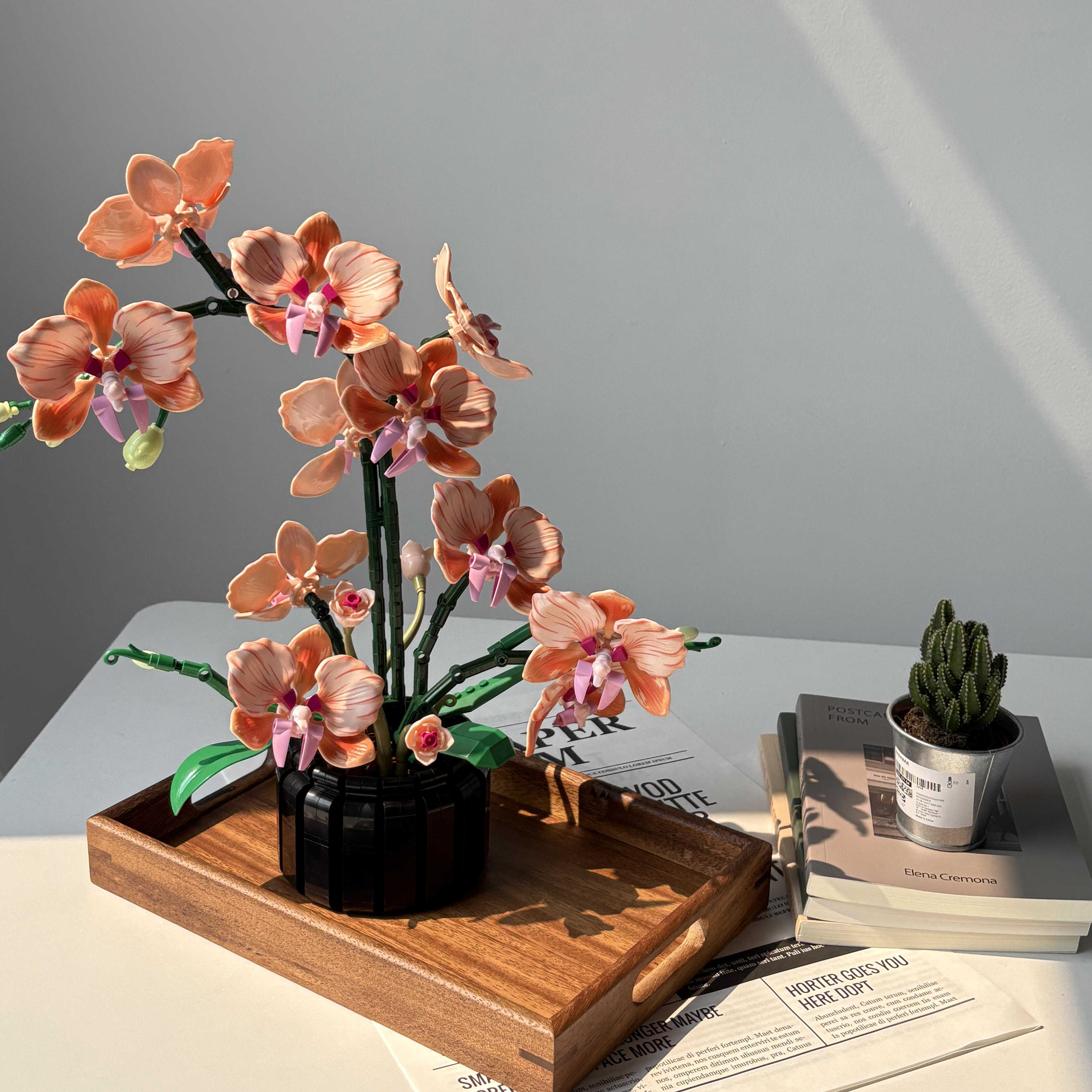 Orange Phalaenopsis Orchid Bui - Interior Design Office recension och pris