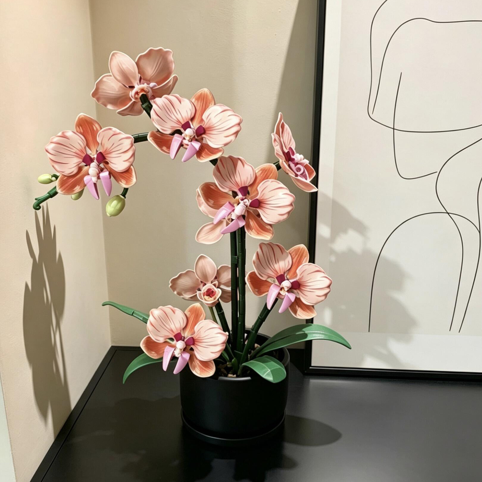Orange Phalaenopsis Orchid Bui - Interior Design Office recension och pris